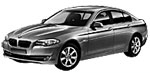 BMW F10 P2A0C Fault Code